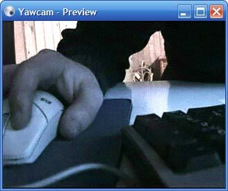 yawcam-best-webcam-ohjelmisto