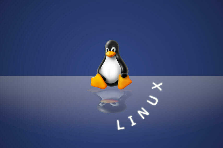 هناك زيادة في عدد لاعبي ألعاب Linux مع إصدار Windows 11