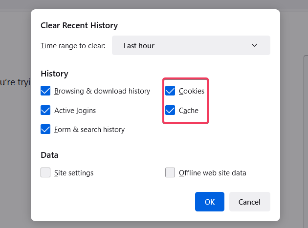 Die Cookies- und Cache-Datenoptionen Google Drive Download funktioniert nicht Firefox