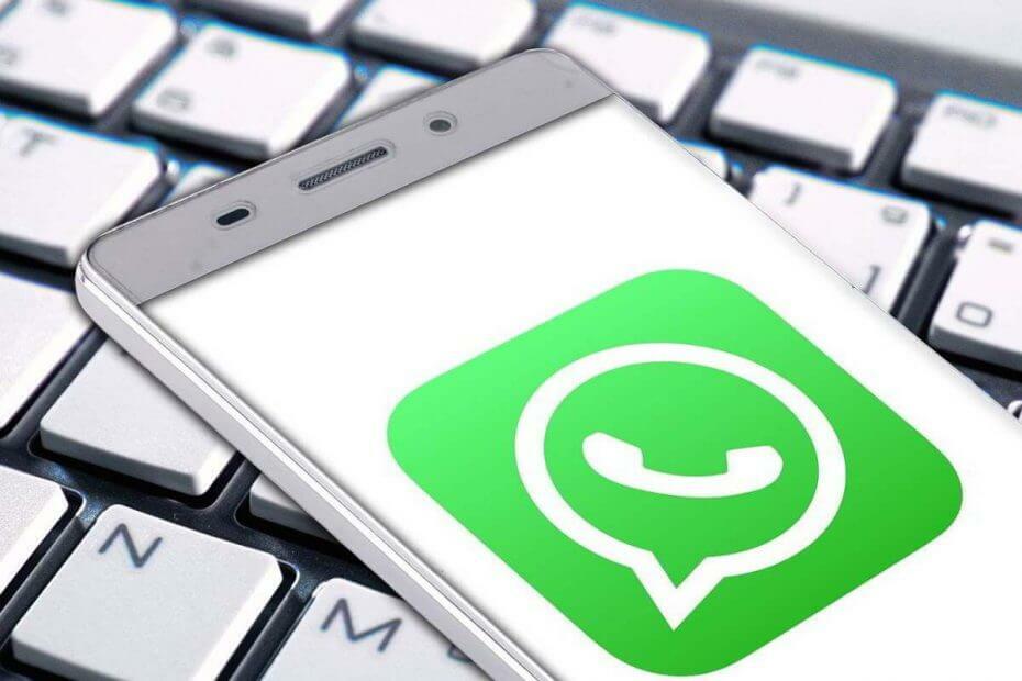 Aplikace WhatsApp pro Windows 10 ke stažení zdarma