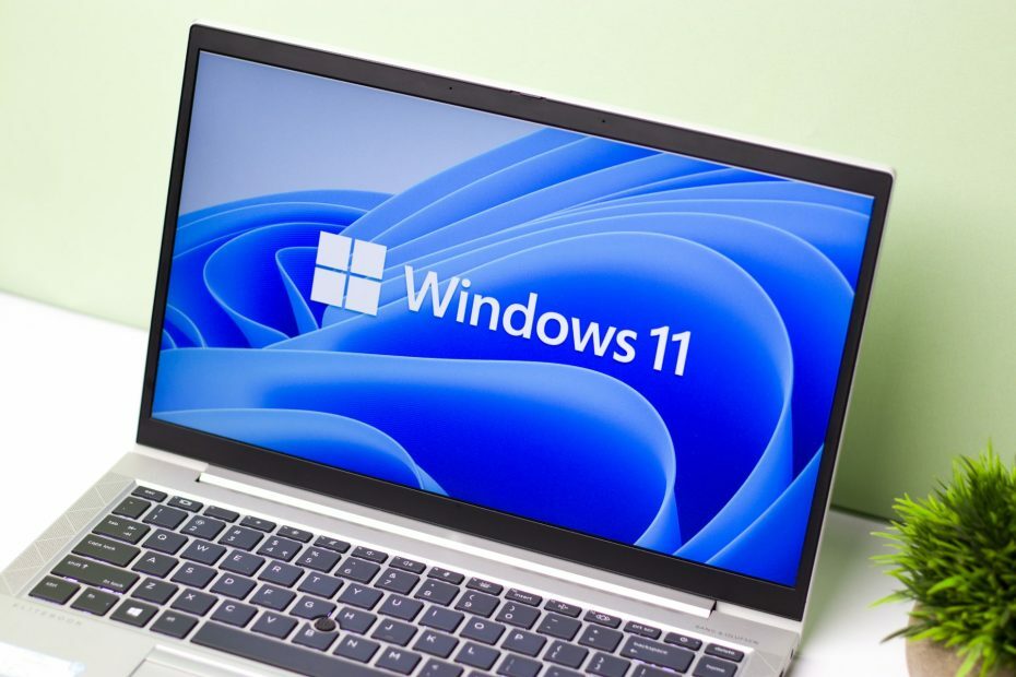 Vai WSAPPX rada problēmas pat operētājsistēmā Windows 11?