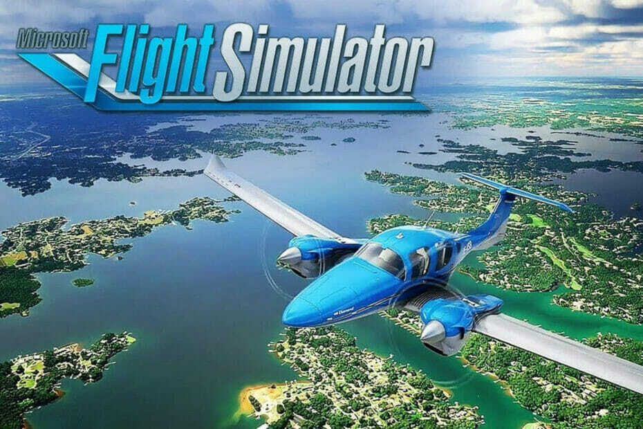 Flugsimulator