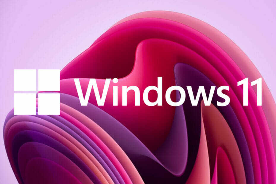 Windows 11 -päivitysvirhe esillä