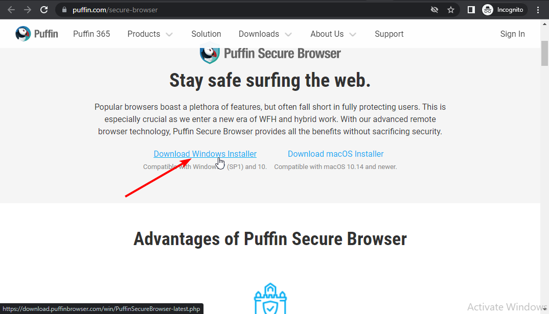 Scarica il browser puffin