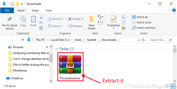 Process Explorer Extract