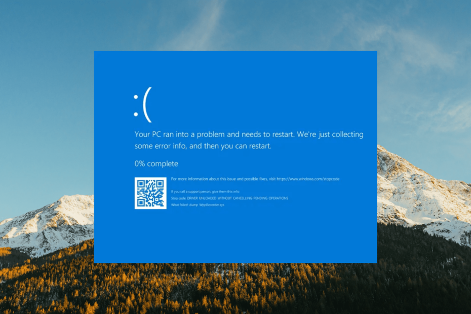 BSoD NETwsw02.sys