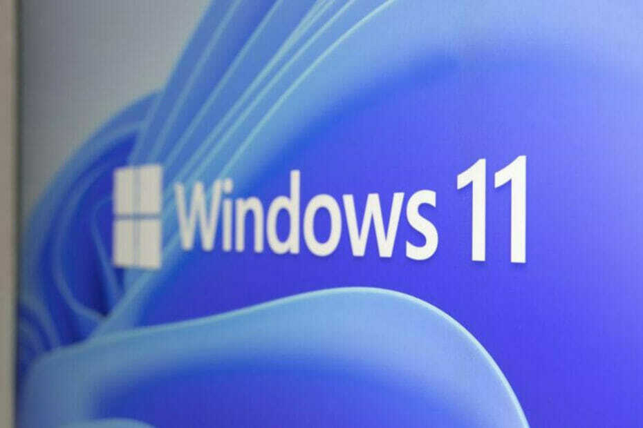 adopcja Windows 11