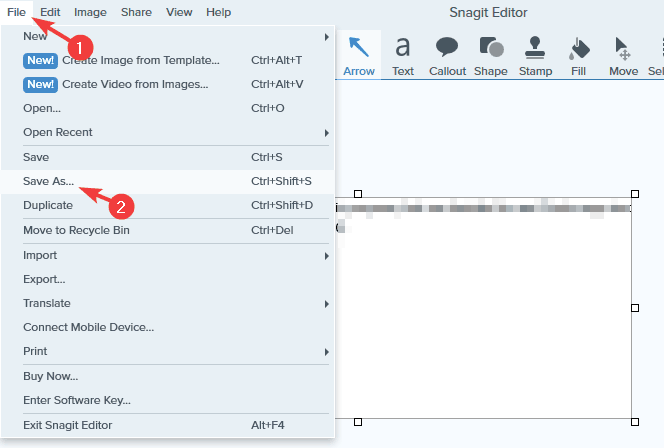 файл зберегти як snagit зберегти знімок екрана у форматі pdf windows 10