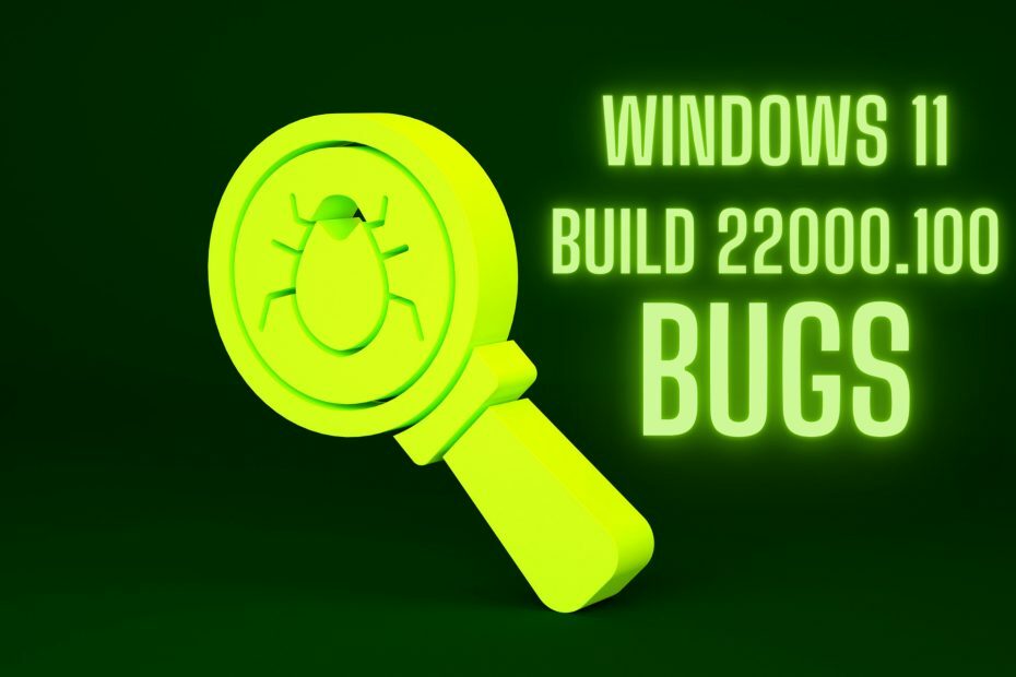 22000.100 Windows 11-Fehler