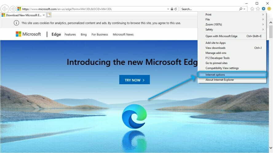 Paleiskite „Internet Explorer“ „Windows 10“