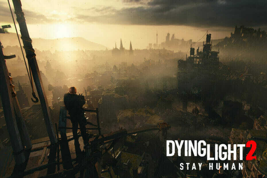 Dying Light 2 Double XP Fehler