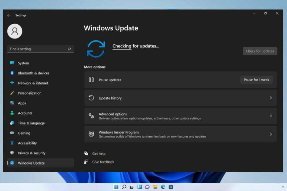 Wie blockiert man Windows 11-Updates?