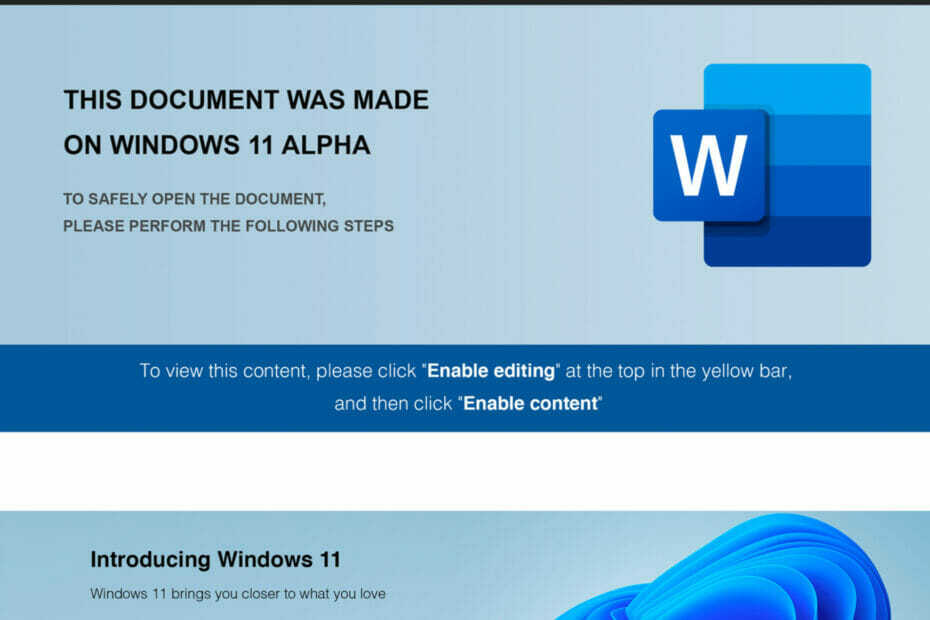 Documentele Microsoft Word tematice sunt de fapt malware