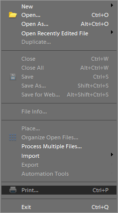 Dateimenü Adobe Photoshop konnte wegen eines "Programmfehlers" nicht drucken
