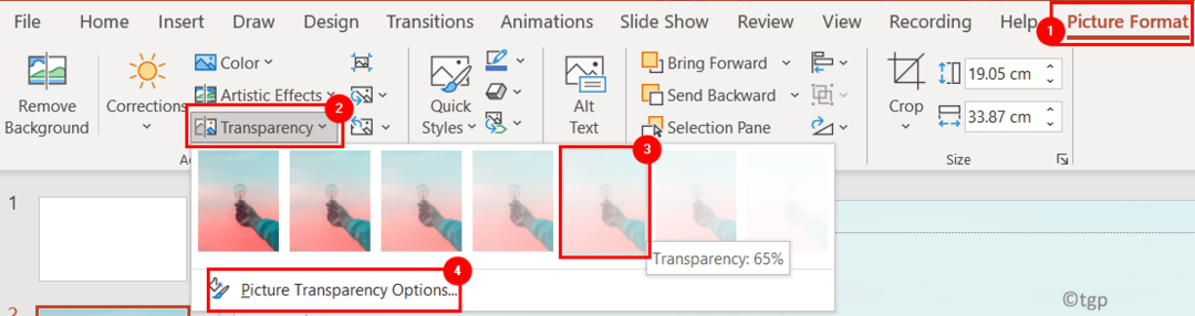 Trasparenza formato immagine PowerPoint Min