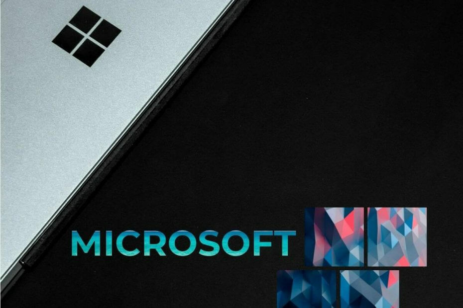 Laptop mit Microsoft Logo - Windows Server Appfabric nicht richtig konfiguriert