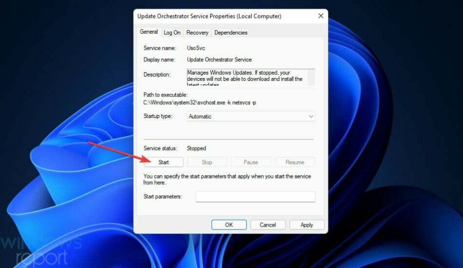 Tlačítko Start Windows Update Něco se pokazilo Windows 11