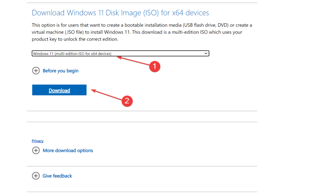 Windows 11 iso za popravak advpack.dll