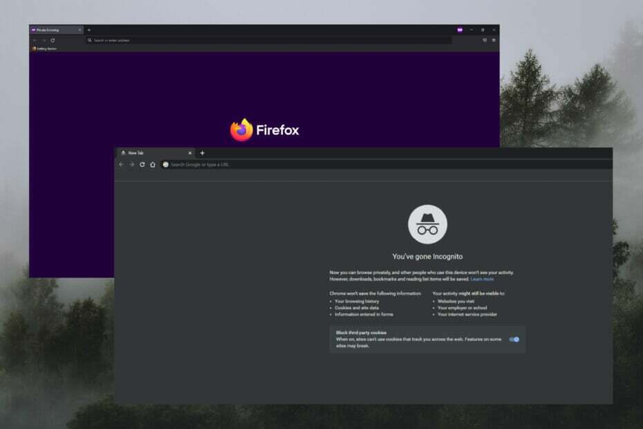 Funkcijos vaizdas Chrome inkognito vs. „Firefox“ privatus.