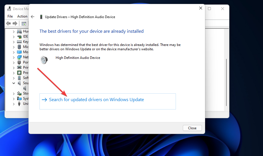 Ieškokite atnaujintų tvarkyklių naudodami „Windows Update“ parinktį išvesties įrenginiai nerasta „Windows 11“.