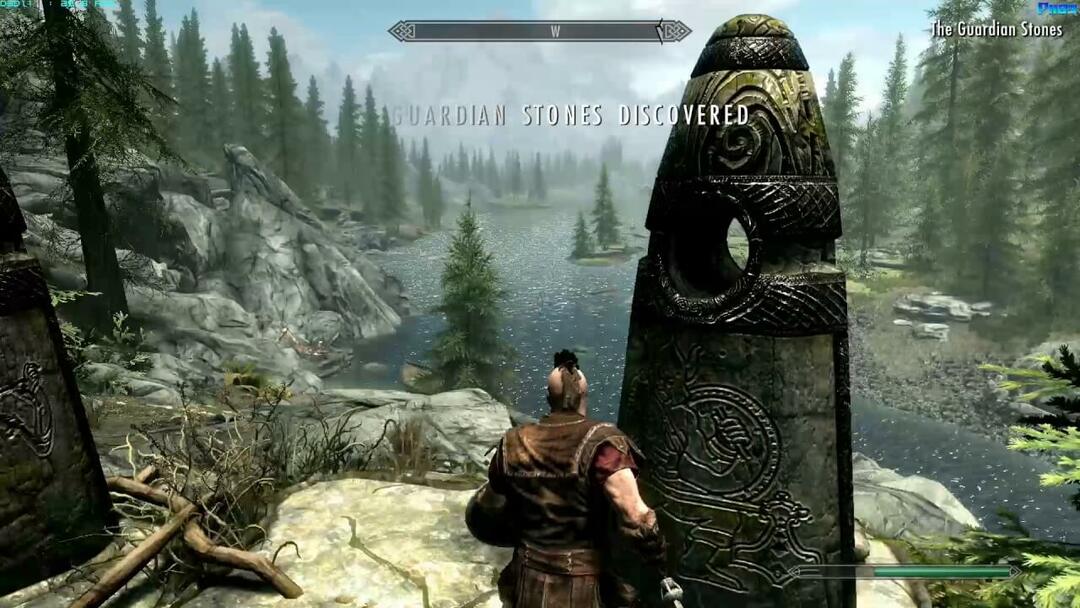 The Elder Scrolls V: Skyrim Ediția specială bug-uri [REMEDIERI UȘOARE]