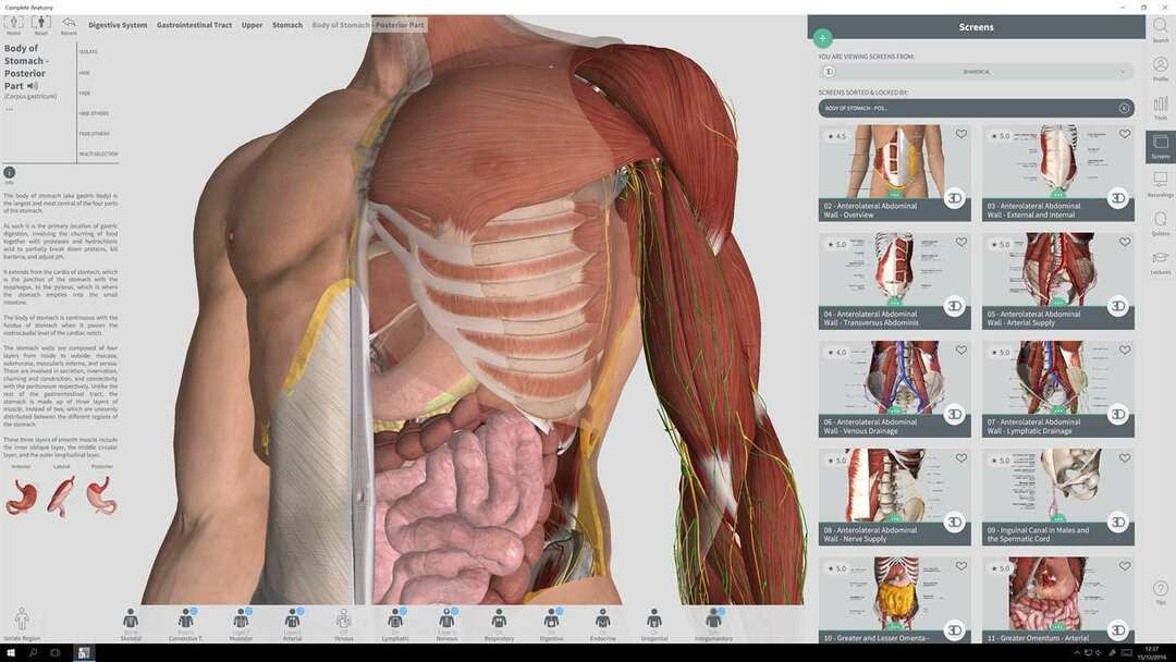 Windows için en iyi 5 3D anatomi yazılımı