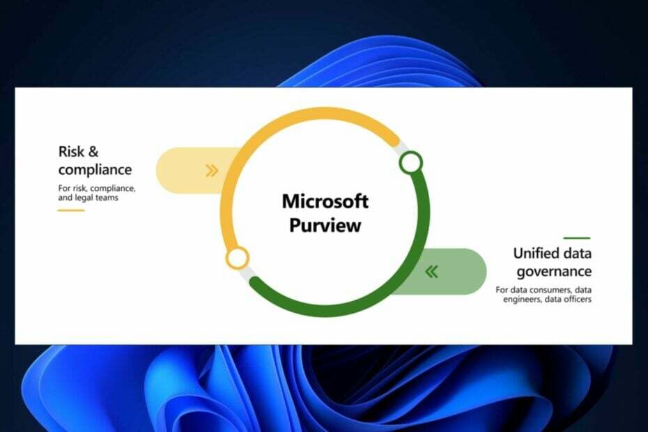 strona raportów o przeglądach firmy Microsoft
