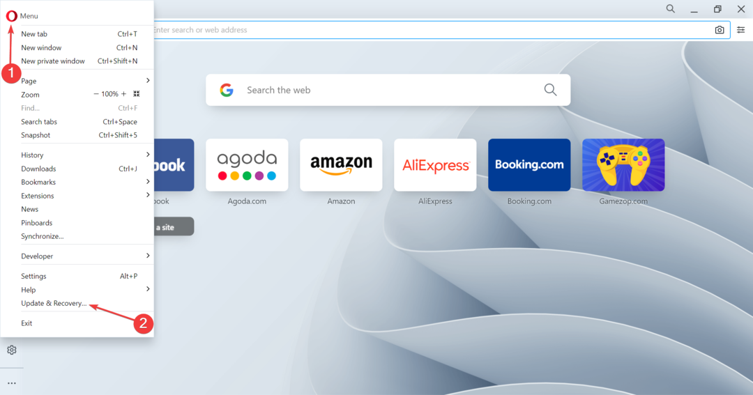 Opera bester browser für asus laptop