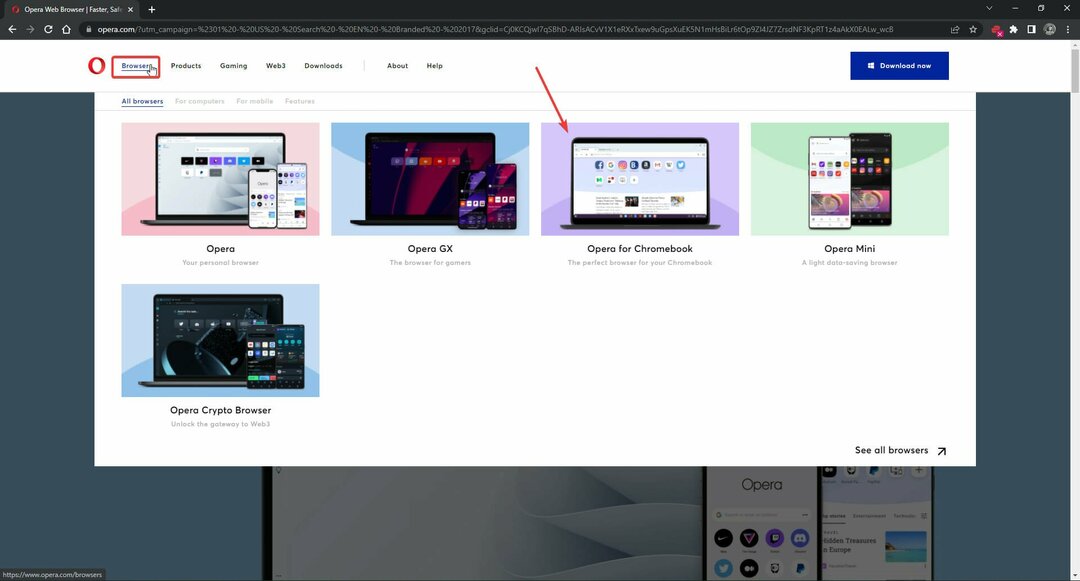 Lataa ja asenna Opera Browser for Chromebook