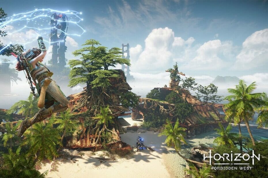 Horizon Forbidden West: Tidak cukup ruang di kantong ramuan