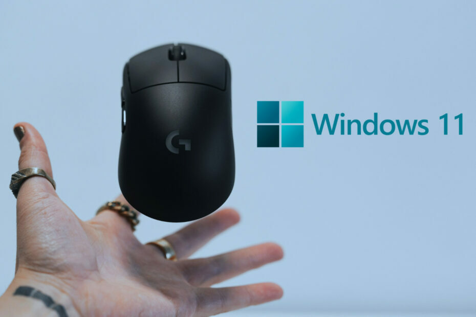 Kaip pakeisti pelės nustatymus sistemoje „Windows 11“.