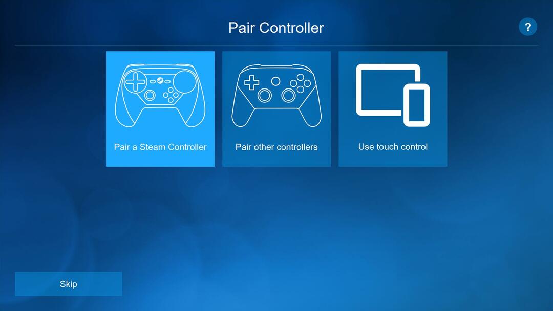 Paar-Controller-Seite Steam-Link