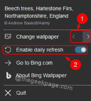 Naršykite Bing Wallpaper 11zon