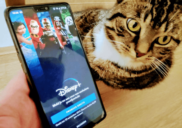 Espelho de tela do aplicativo Disney Plus