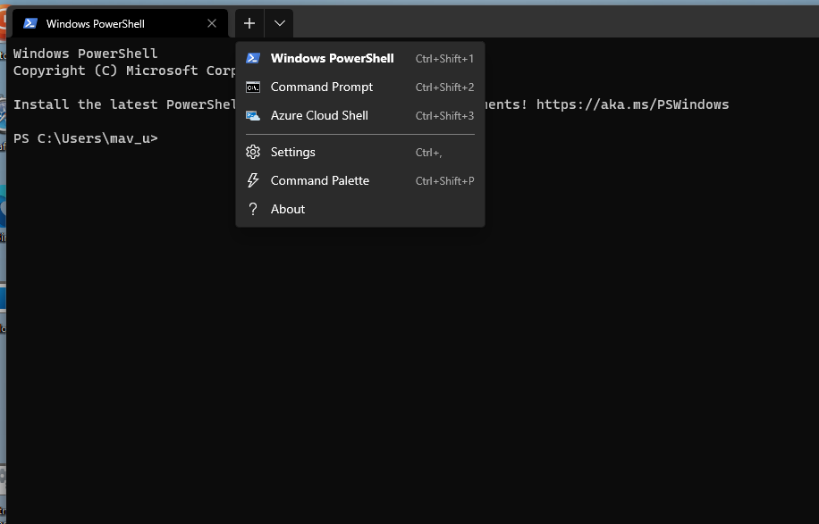 Befehlszeilenoptionsdienste von Windows Terminal zum Deaktivieren von Windows 11