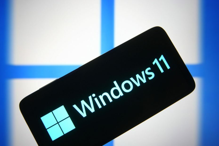 Windows 11: Problèmes et bogues sur la version Bêta 22000.51