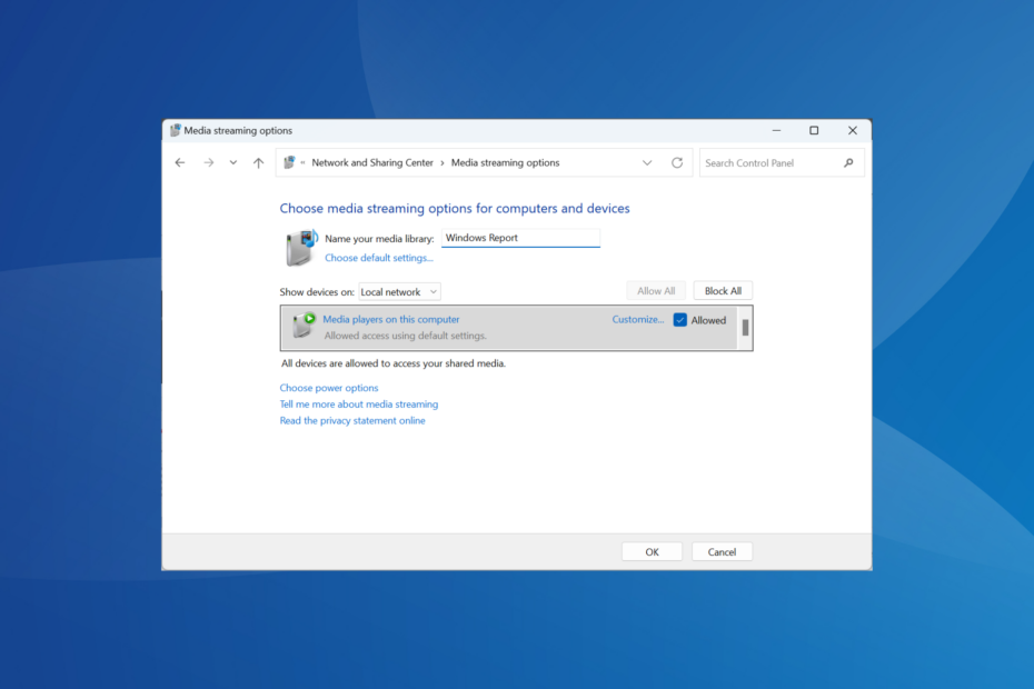 Hoe dlna in Windows 11 in te schakelen
