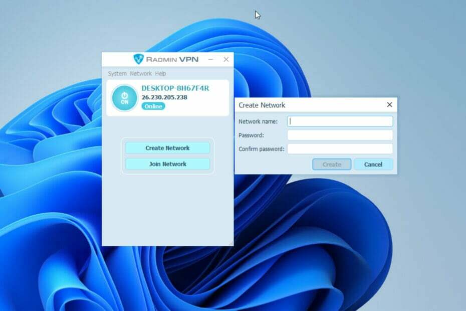 Radmin VPN für Windows 11