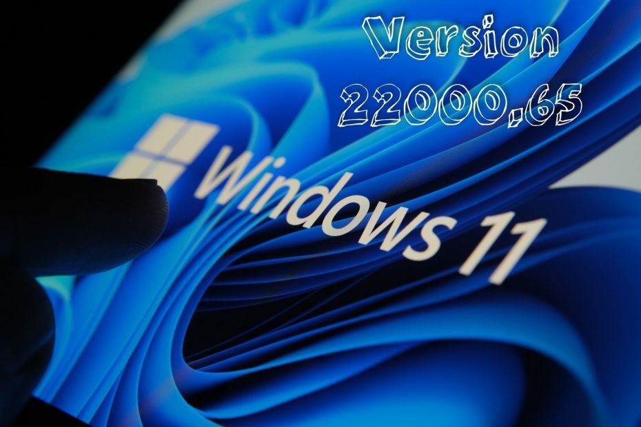 Windows 11 versione 22000.65
