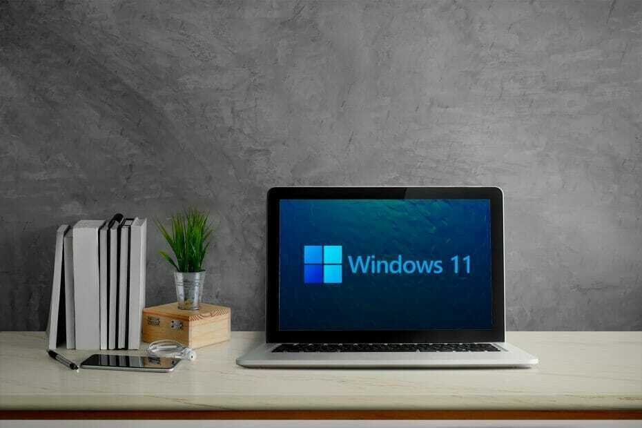 Windows 11 spetsifikatsioonid ja nõuded