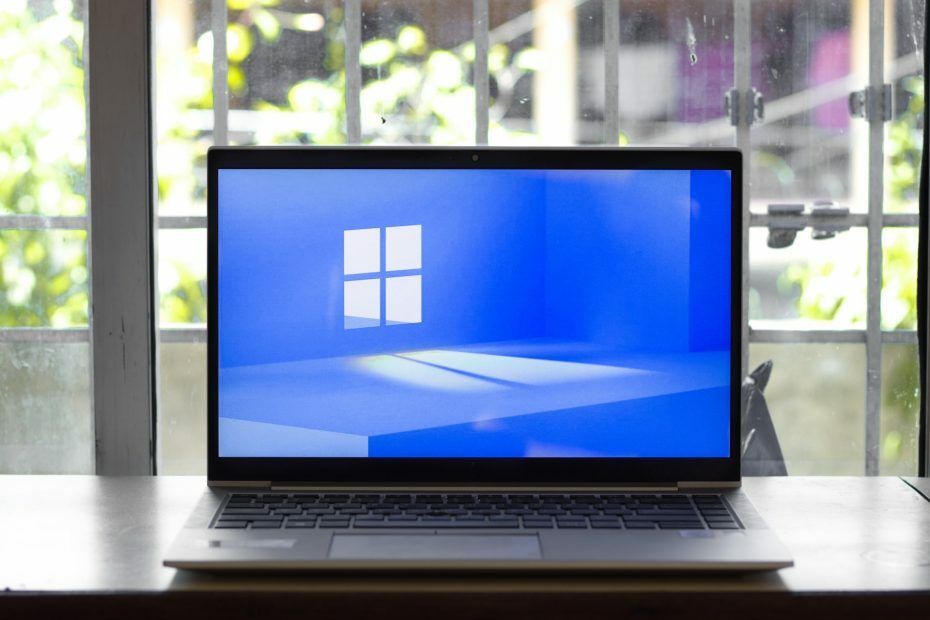 ما هو إصدار Windows 11 الذي ستتم الترقية إليه؟