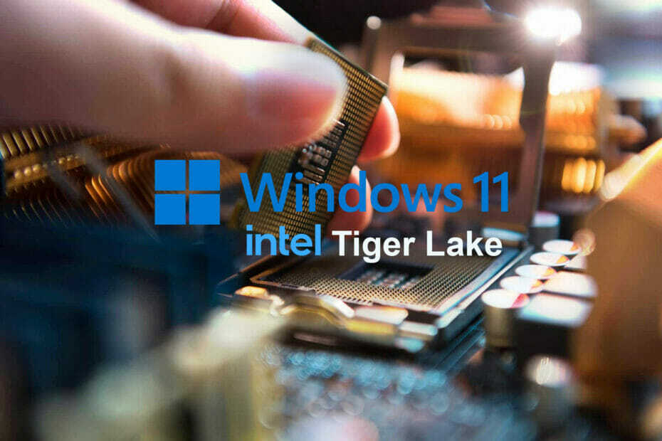 Windows 11 Tiger Lake