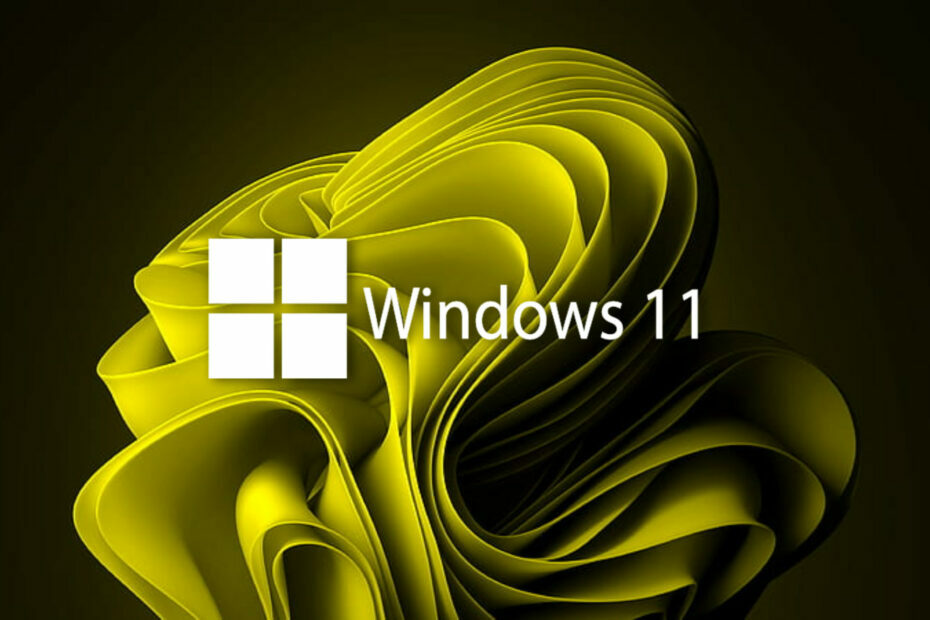 Vérifiez le nouveau Windows 11 Build 22621.160 (bêta)