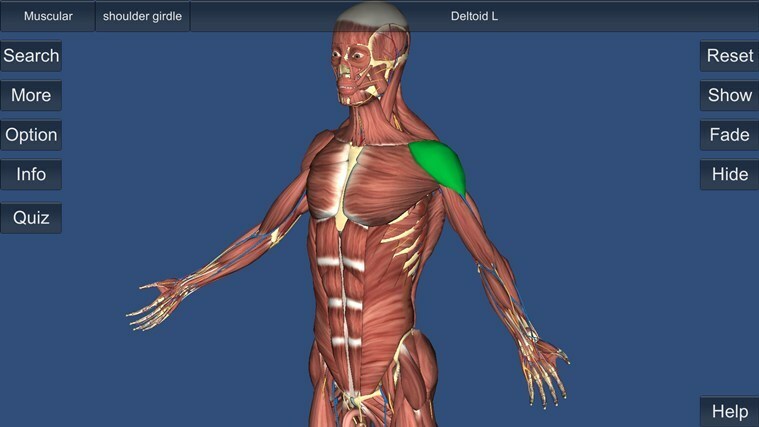 今週の最高のWindows8アプリ：3D人体解剖学