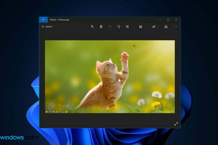 Ar „Windows 11“ nuotraukose esančio „Spot Fix“ įrankio gali nebūti visam laikui?