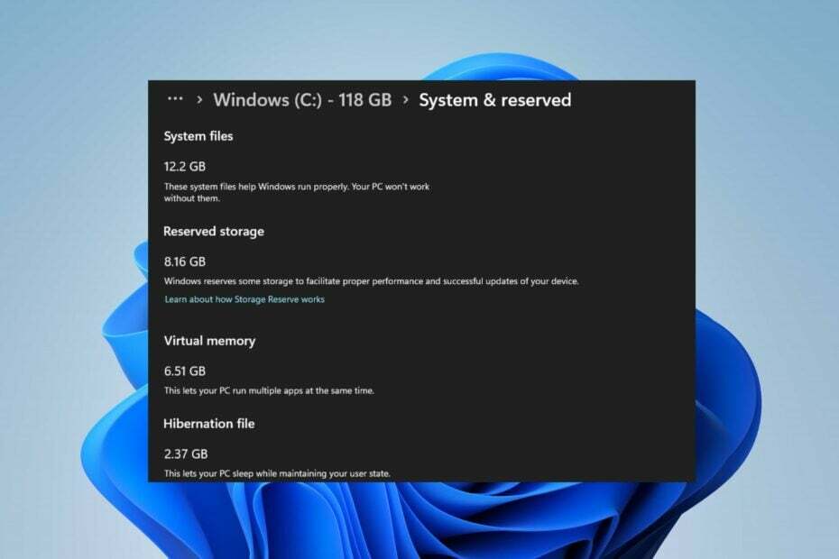 rezervuota saugykla „Windows 11“.