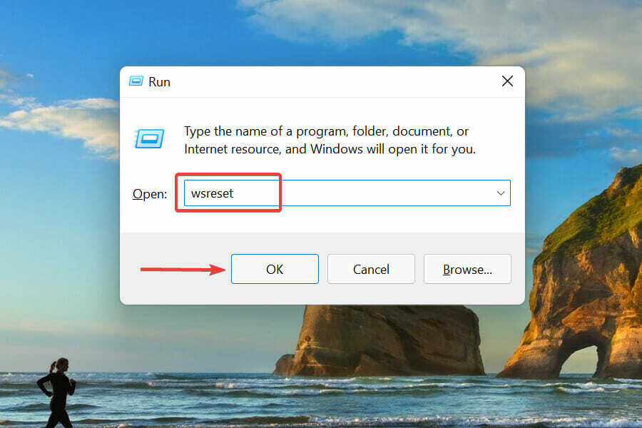 Počistite predpomnilnik Microsoft Store, da popravite kodo napake Windows 11 0x8000ffff