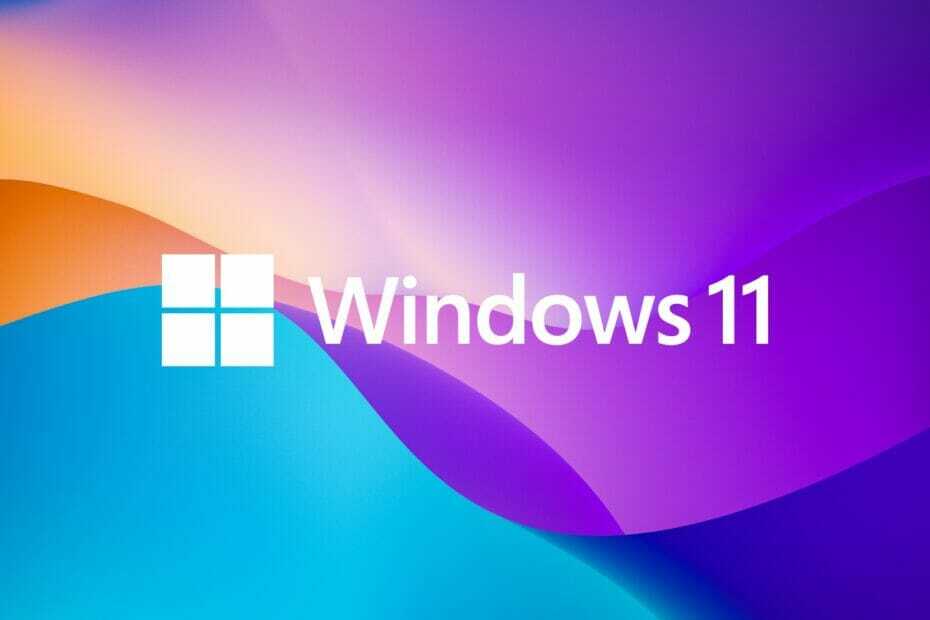 Windows 11 搭載