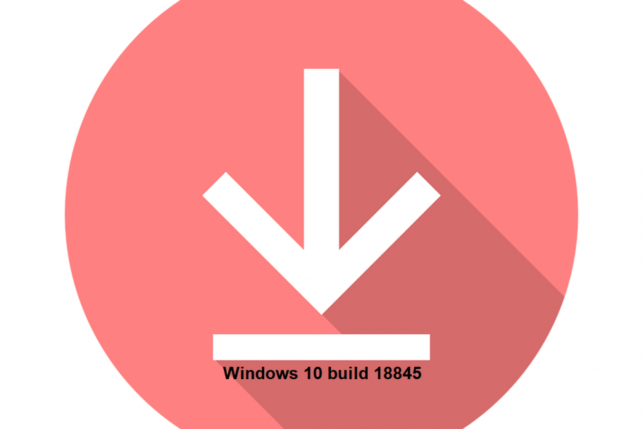 Windows 10 Build 18845 herunterladen