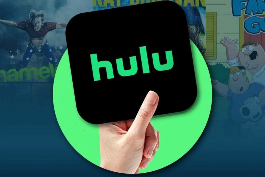 Hulu-Fehler 94